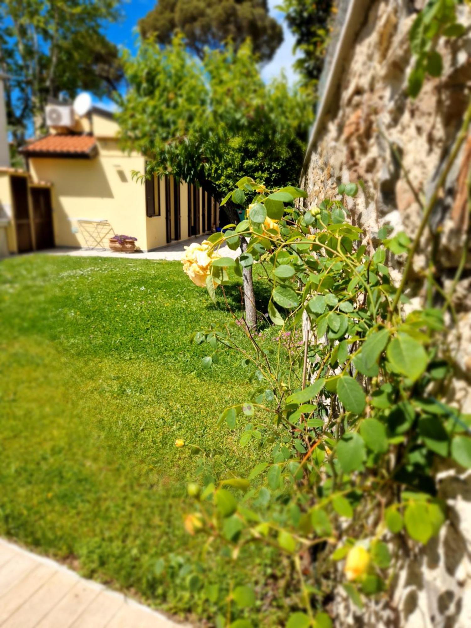 Serra Di Mare Casa Con Giardino Livorno Bagian luar foto